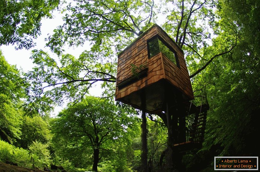 Treehouse от Takashi Kobayashi (Япония)