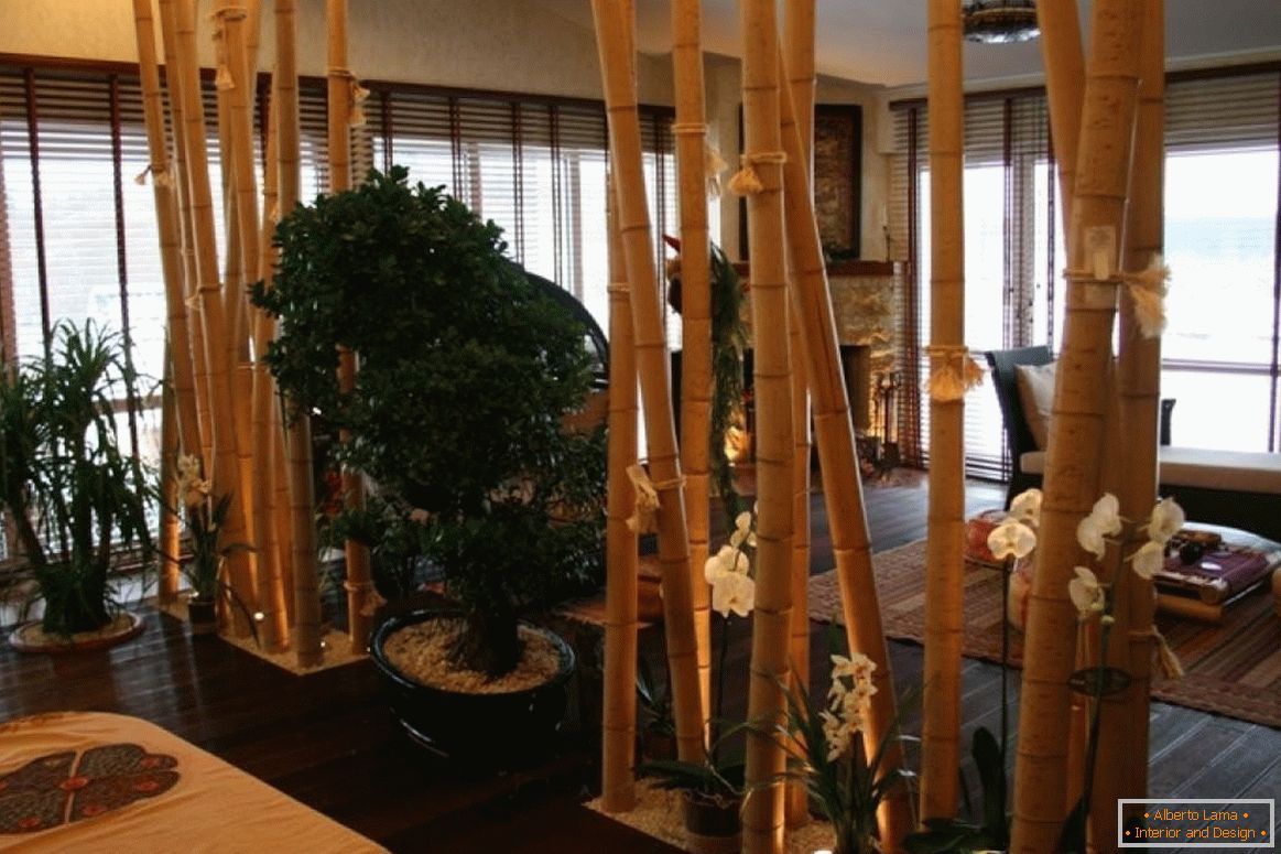 Бамбуков дял