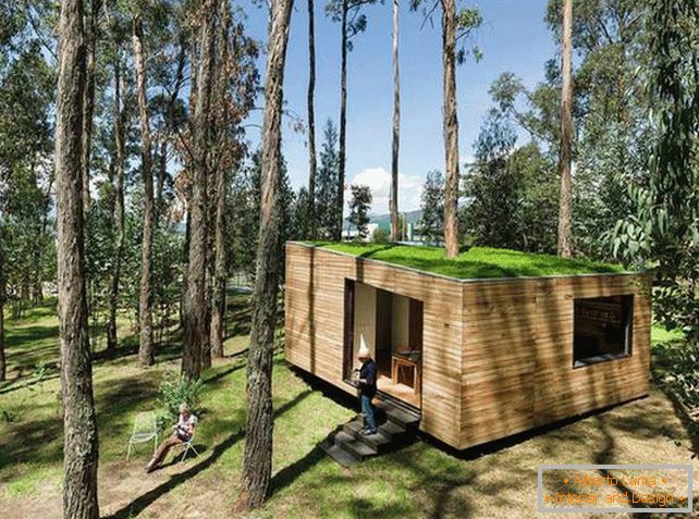 Малка къща в гората с покрив от мъх