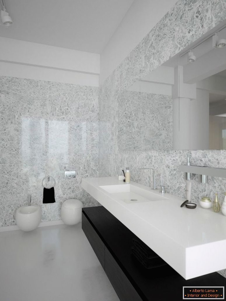 black-white-contemporary-баняroom-design