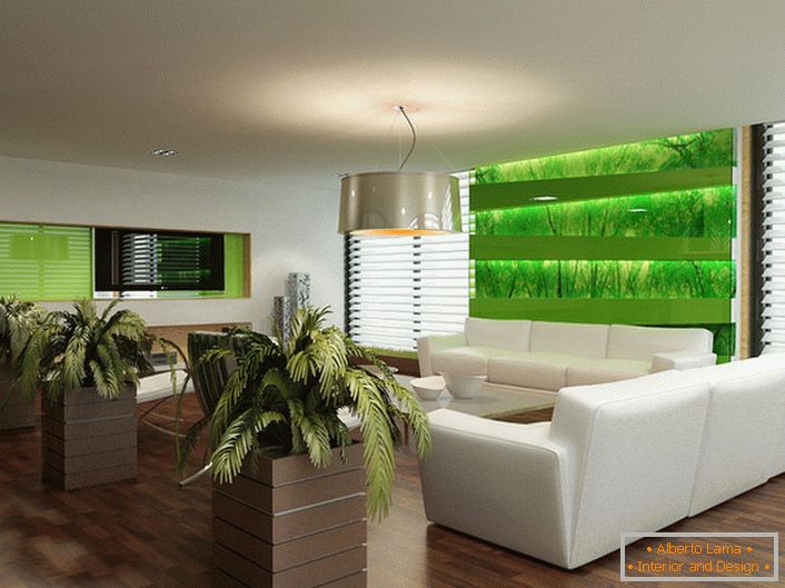 Екологичният стил в интериора на хола помага на собствениците на апартаменти и техните гости да избягат от градския шум.