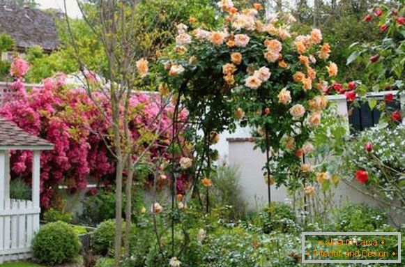 Озеленяване на частен дом - най-добрите идеи за 2017 г. с цветя