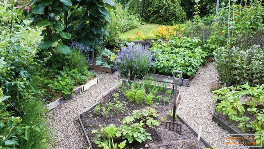 Зеленчукова градина на парцела от 12 хектара