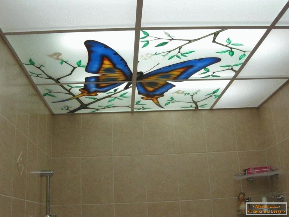 Пеперуда на тавана