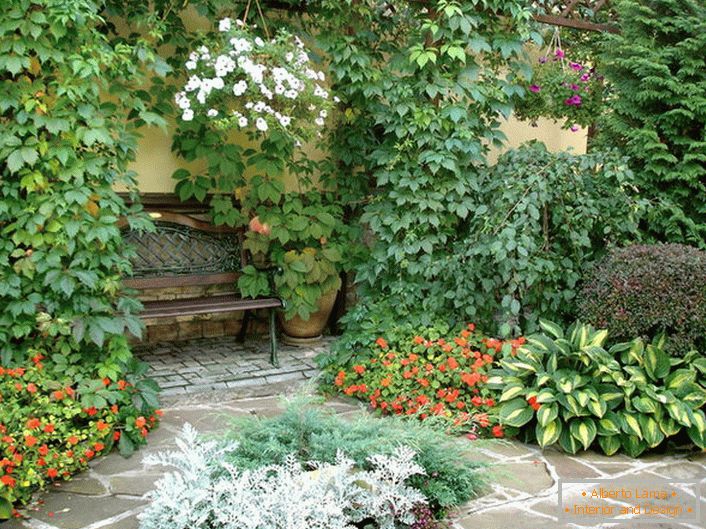 Разнообразието от растения в двора показва наличието на средиземноморски стил. Цъфтящи растения, къдрави диви грозде правят атмосферата романтична.