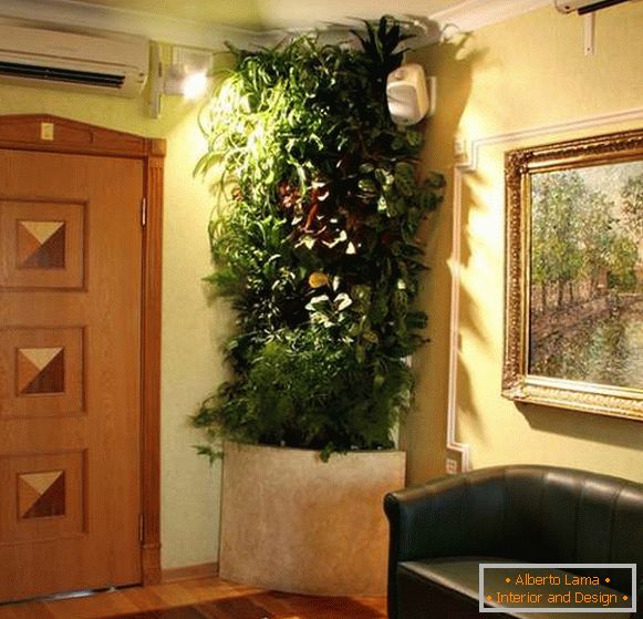 оригинални стайни растения във вътрешността на коридора, снимка 11