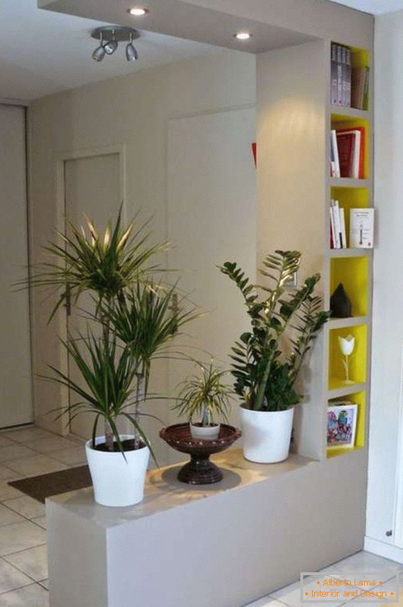 оригинални стайни растения във вътрешността на коридора, снимка 13