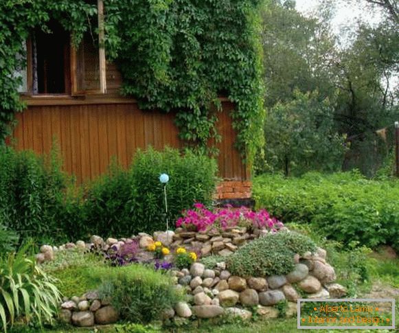 Озеленяване на двора на частна къща със собствени ръце - с алпийски слайд