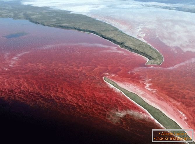 Ярка червена вода в езерото