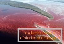 Необичайно червено езеро в Северна Канада