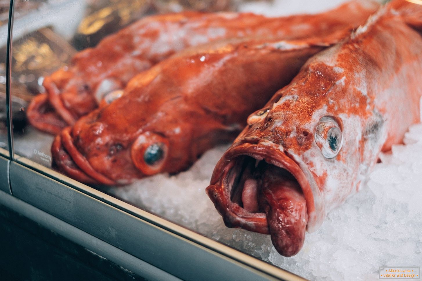 Замразена риба на пазара в Берген