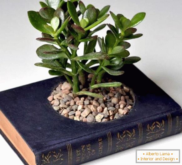 Пот на растенията от книгата