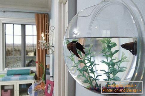 Кръгъл стенен аквариум