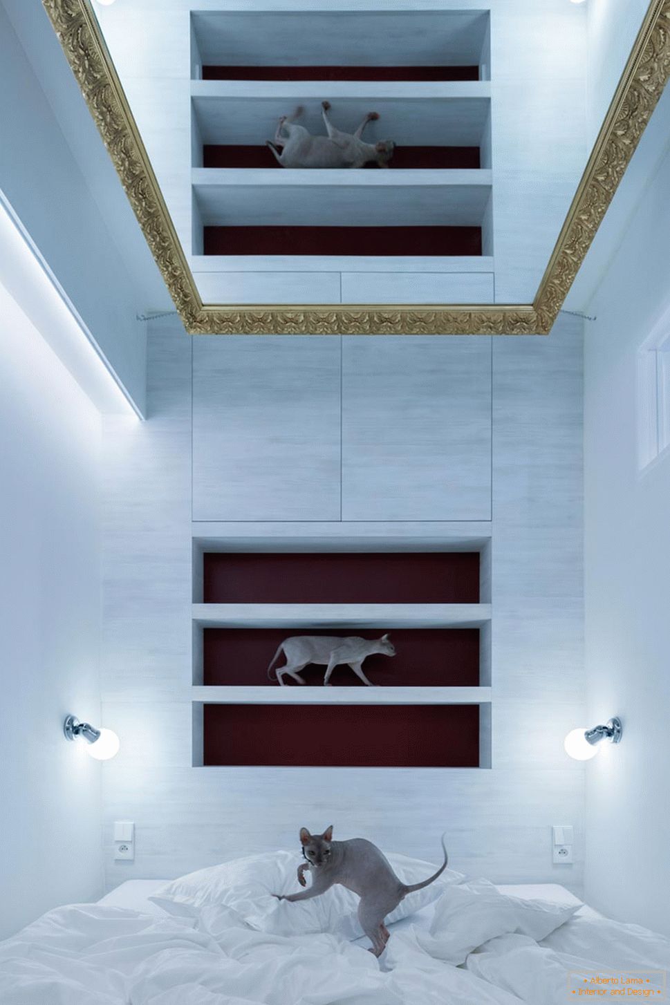 Модерен дизайн на малък апартамент - котки в интериора