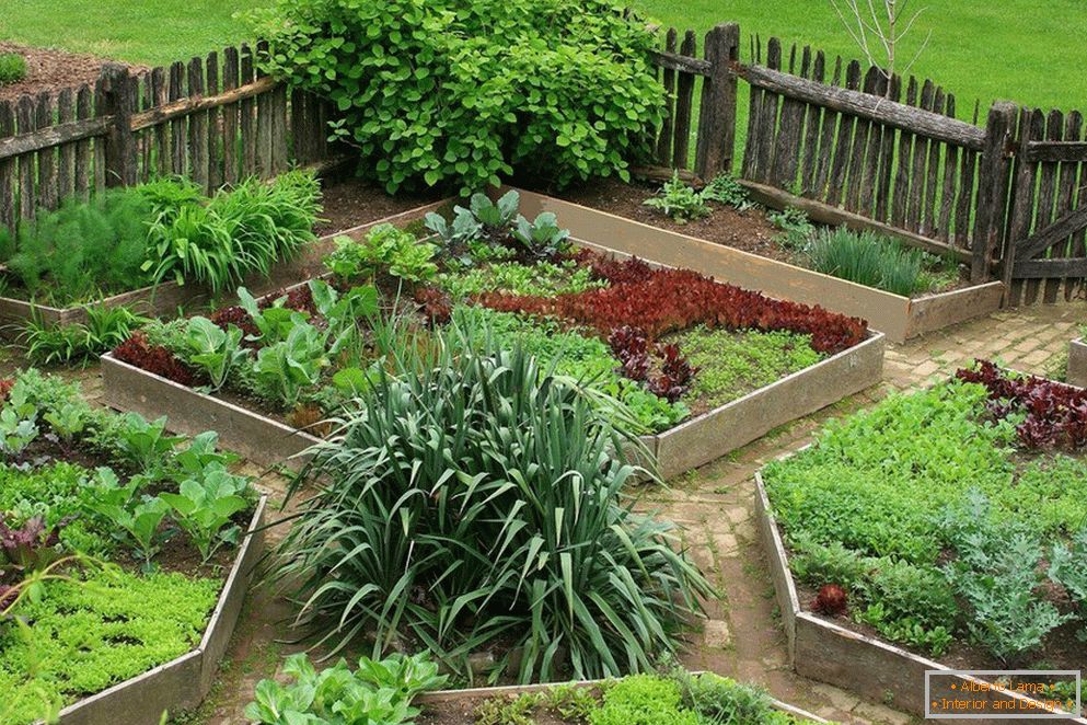 Места на зеленчуци в градината