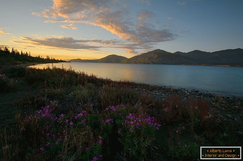 Приятни снимки на канадската природа, Кийт Уилямс