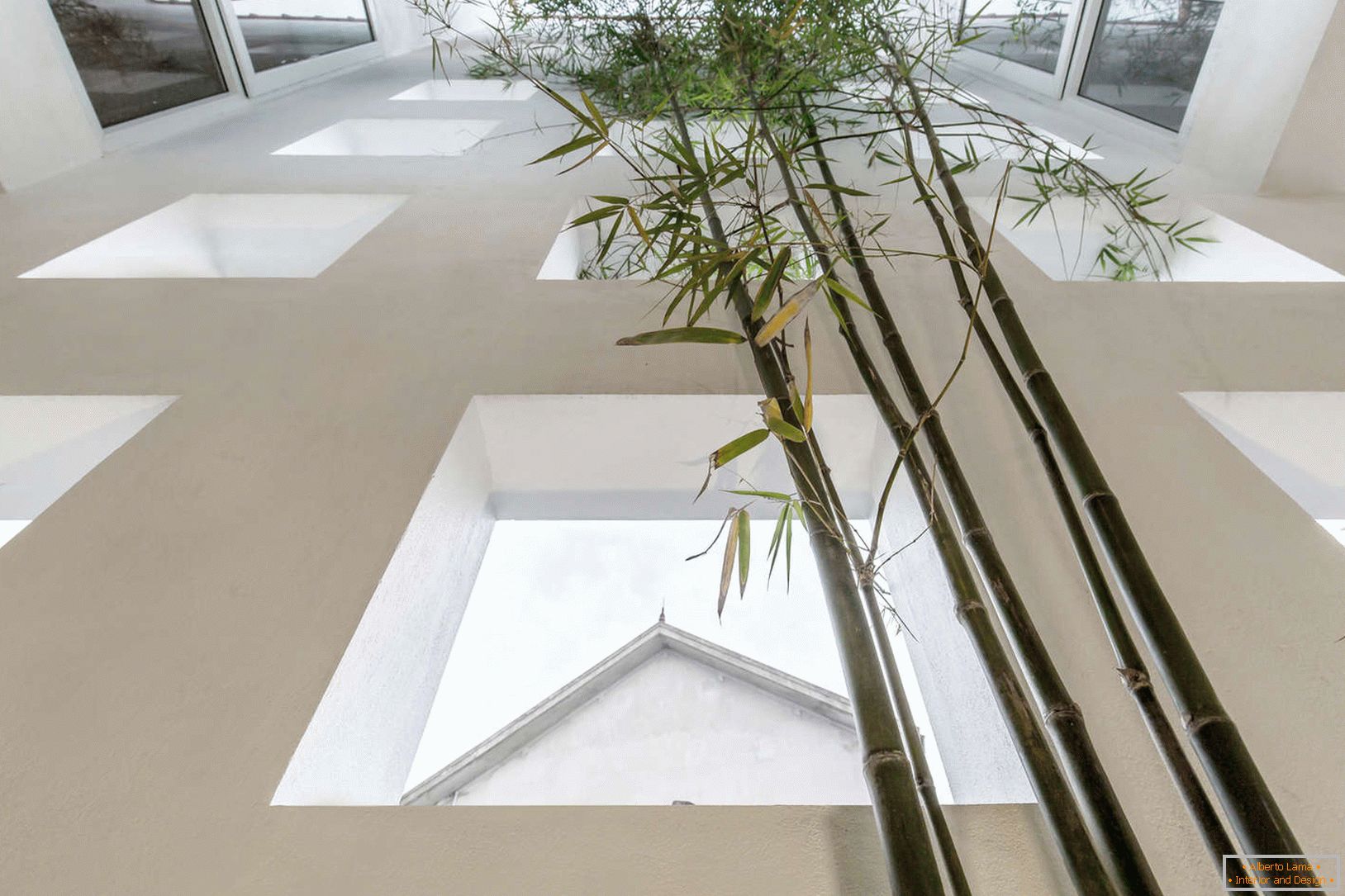 Бамбук в тясна бетонна къща