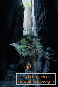 Около света: Каменна гора в Мадагаскар