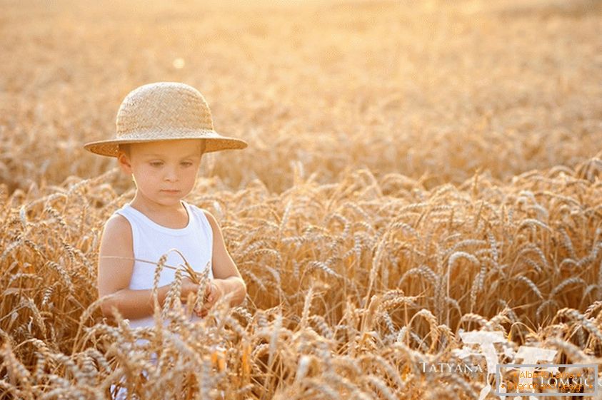 Дете на пшенично поле