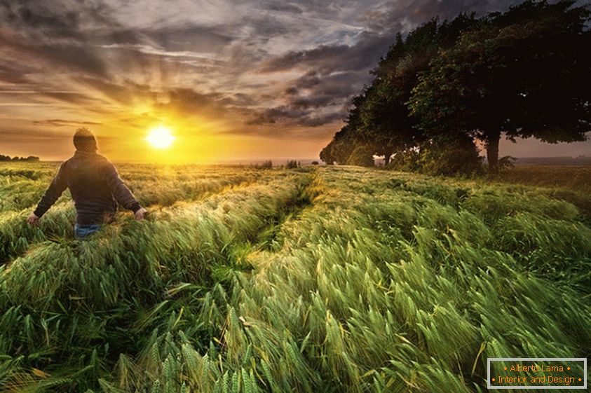 Мужчина на пшеничном поле, фотограф Пол Возняк