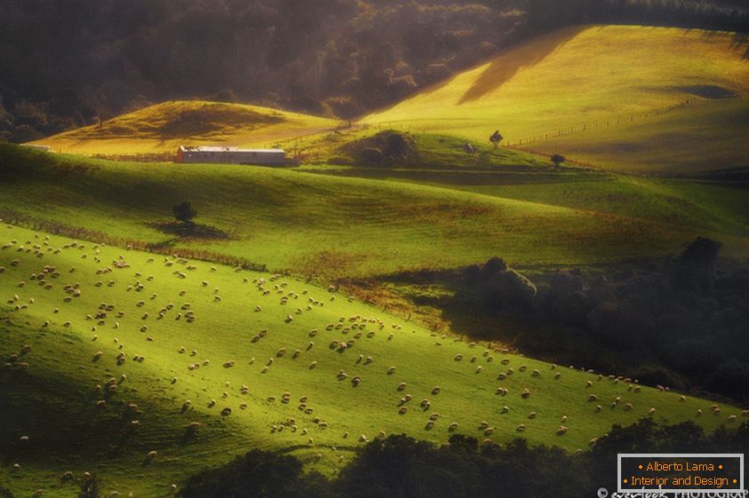 Пейзажи на Нова Зеландия Dylan Toh