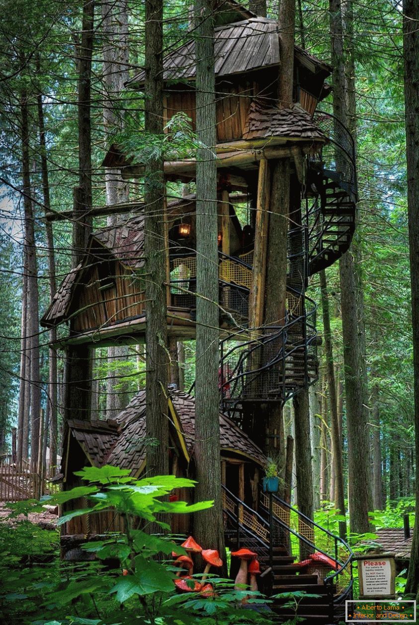 Three Story Treehouse (Британская Колумбия, Канада)