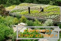 30 удивительных идей для оформления градина на покрива