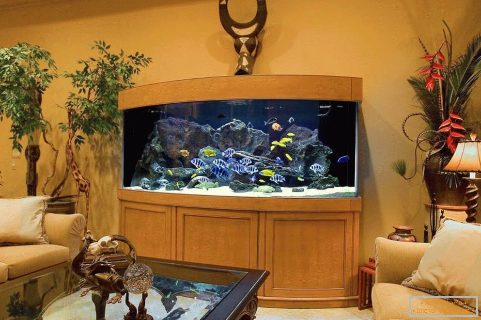 Красив аквариум в гостиной