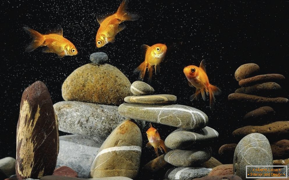 Декорация на аквариума с камъни