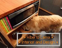 Дизайн за домашни любимци: направи място за ядене на куче