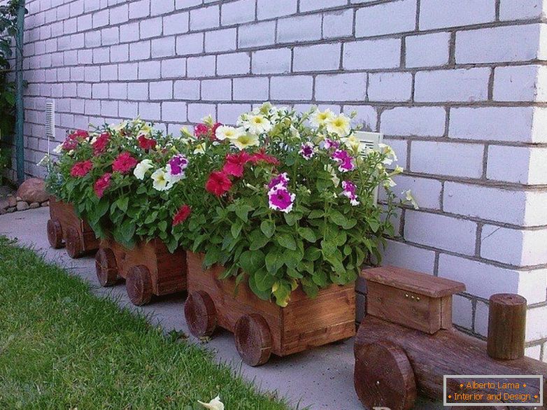 Petunias в дървен влак
