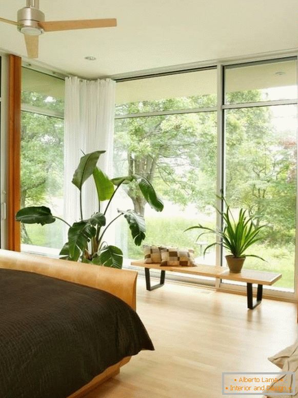 Големи прозорци и саксийни растения в спалнята