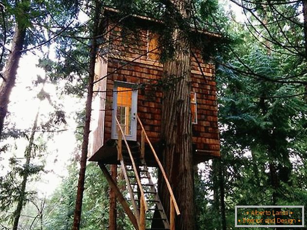 Къща на дърво с стълба. Снимка 1