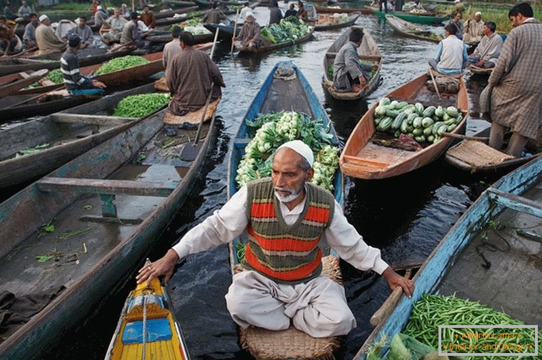 Продавач на лодка, Индия