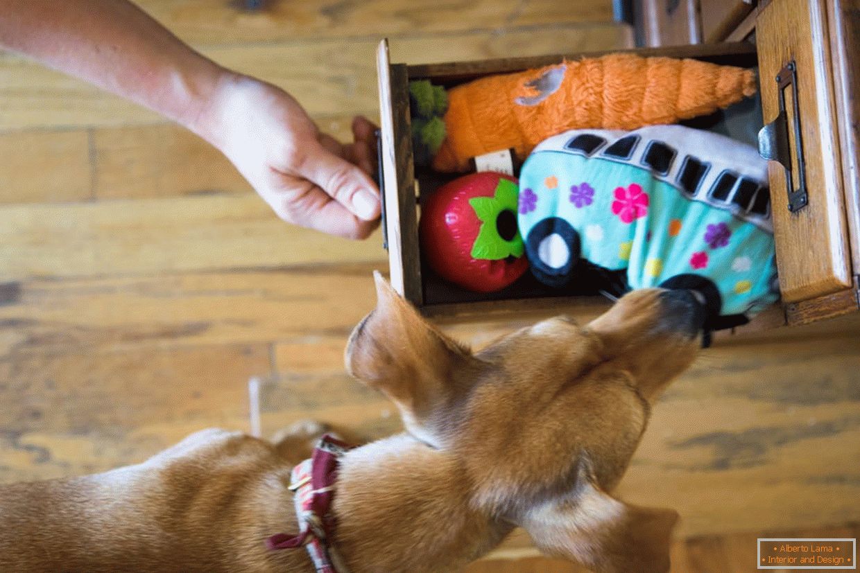Кутия с играчки за кучета