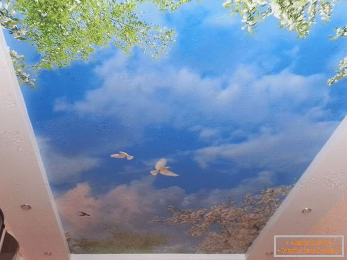 Оформените тавани с фотопечат са подходящи при проектирането на всяка стая. Хармоничната картина на синьото небе с бели гълъби ще изглежда особено привлекателна в стаята за гости.
