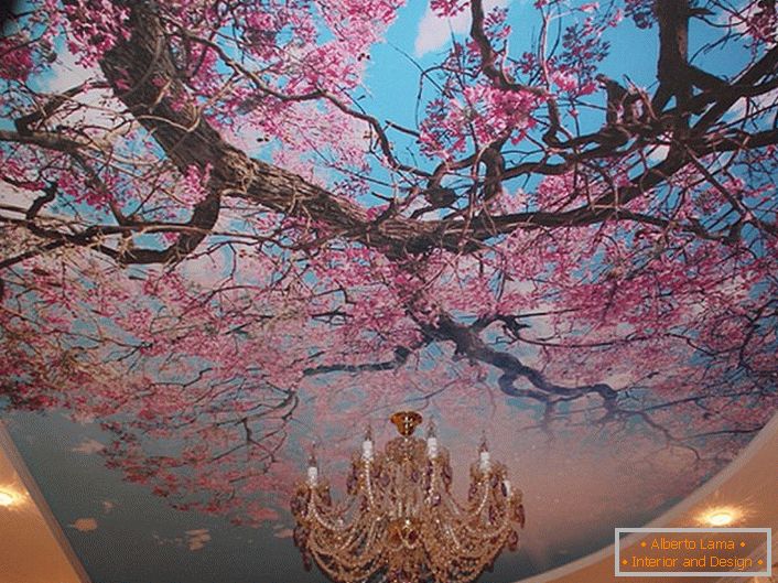 Разцъфващи черешови цветя често се използват от съвременните дизайнери за декориране на тавани. Действителното решение за регистрация на стая за гости или зала.