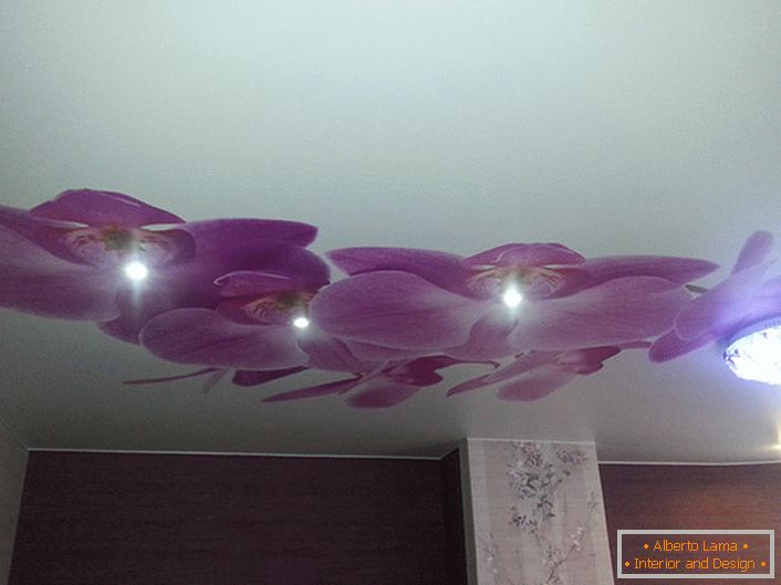 Деликатните орхидеи изглеждат изящно на опънати тавани. В дизайна на модерния дизайн се използва фотопечат.