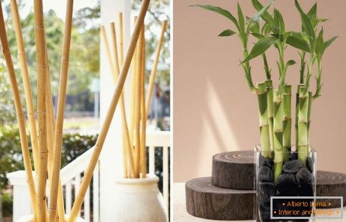 Бамбукът като декорация