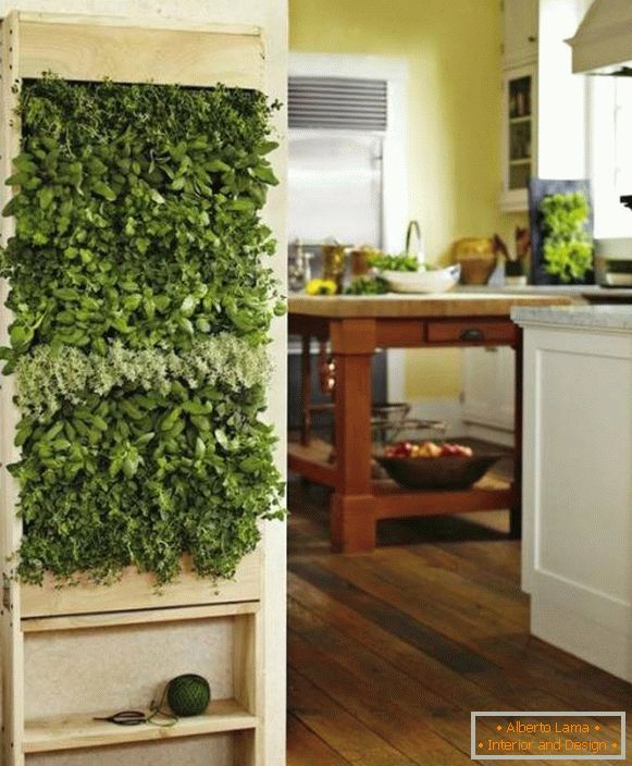 Зелени растения в кухнята