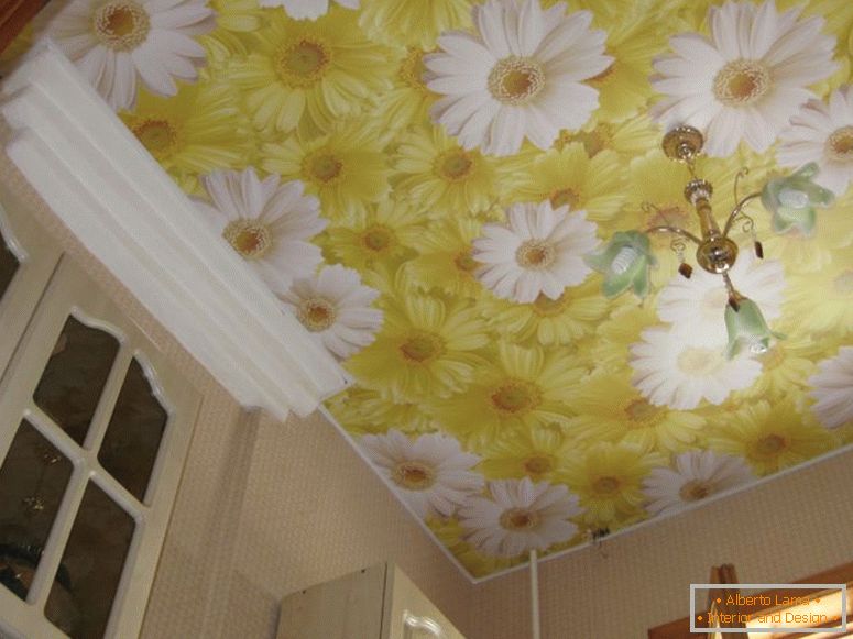 Stretch таван в кухнята - 70 снимки на перфектни дизайнерски