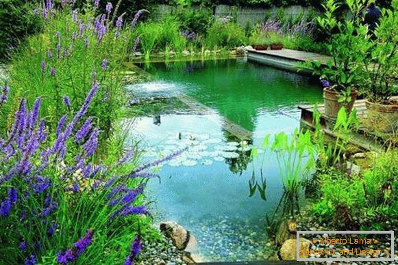 Красива снимка на плувни басейни - езеро за плуване в двора