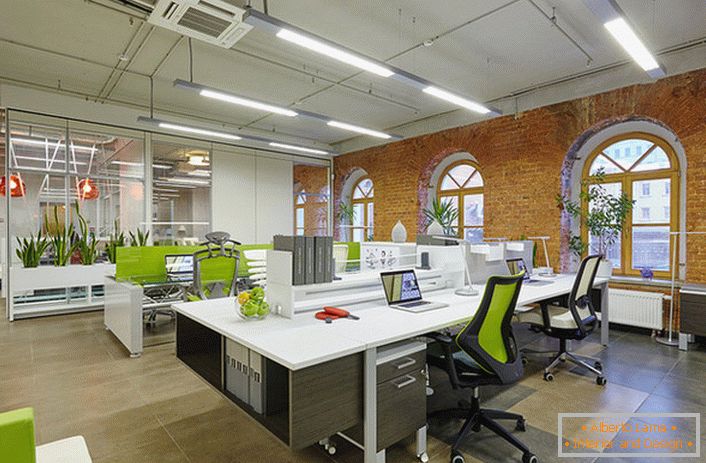 За да се създаде офис в таванското помещение, се използва много оживена зеленина, което прави стаята уютна и приспособява служителите към работно настроение. 