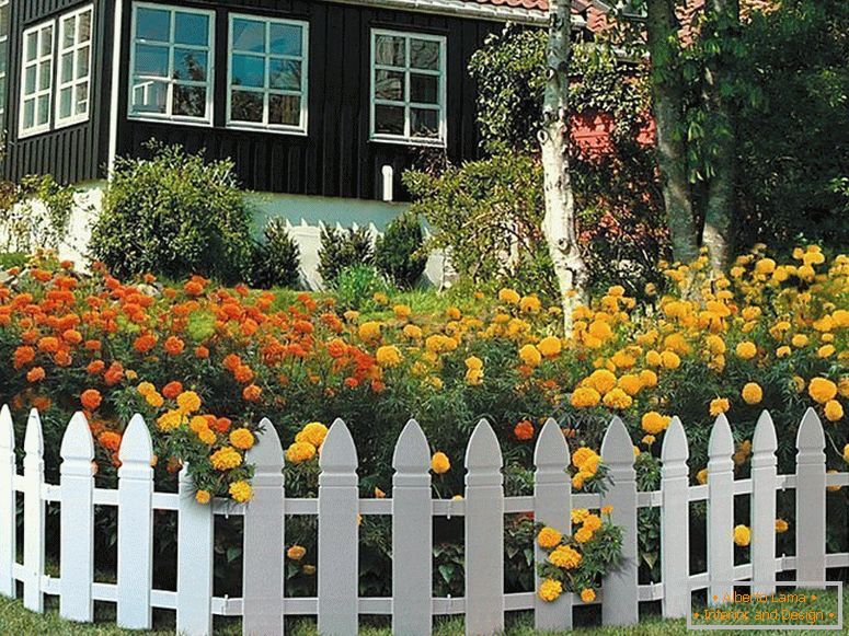 Предна градина пред къщата с пластмасова ограда