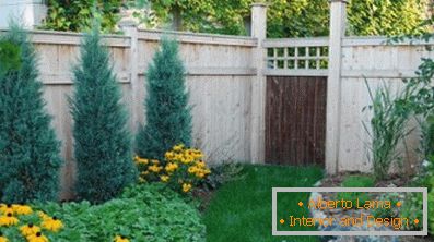 Оригинално хеджиране (88 снимки)