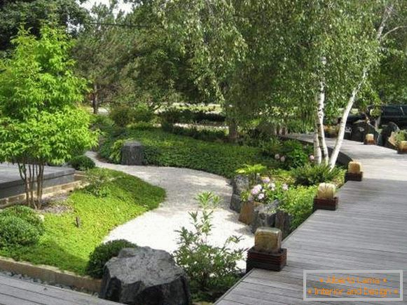 Озеленяване на градината в китайски стил
