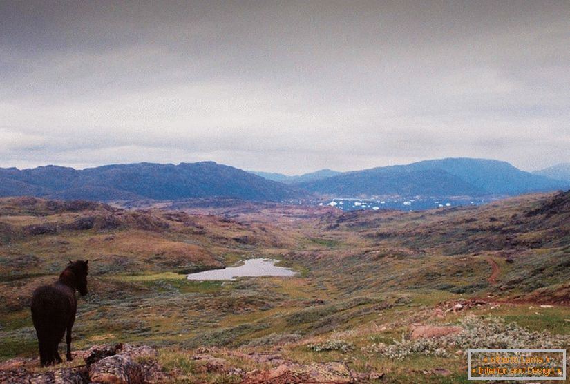 Филмови пейзажи на Гренландия Кармен Марчена