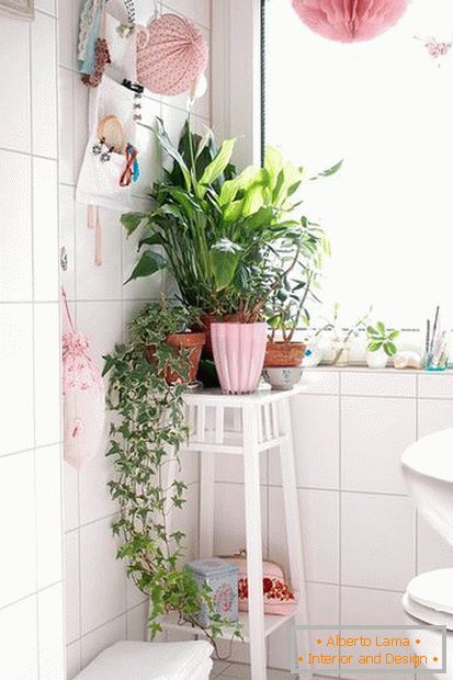 Растения в ъгъла на банята