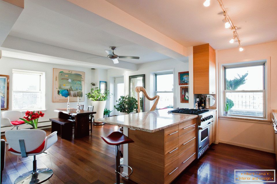 Кухненски и кухненски апартамент с изглед към Бруклин