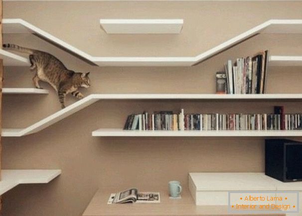 Лабиринтът за котка от рафтовете на стената